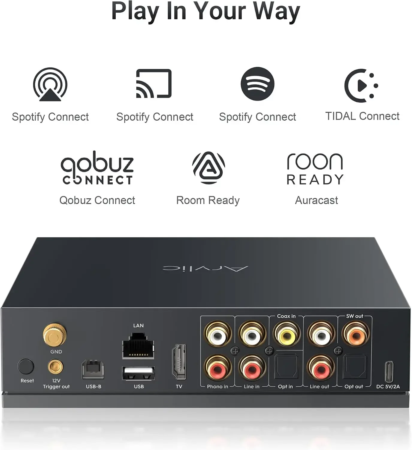 Arylic LP100, Pemutar Musik Ni - Audio Music Google ulasan dan harga